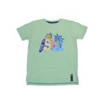 Polera-Niño-Verde-