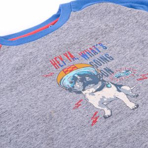 Polera Manga Larga Niño Gris