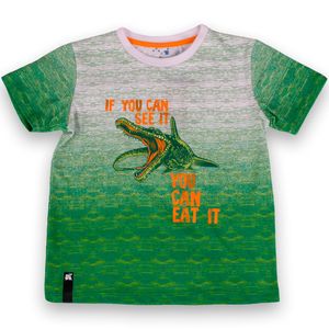 Polera Niño Verde