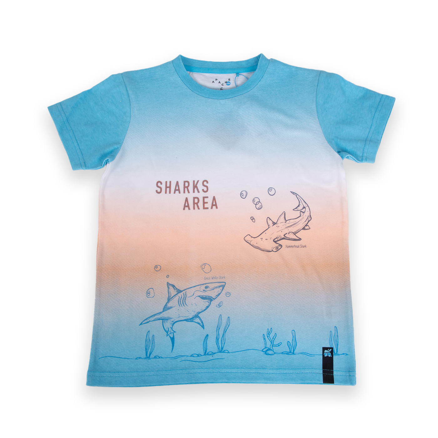 Polera Niño Turquesa