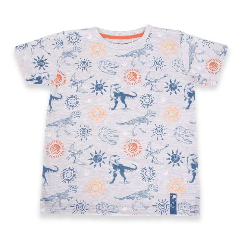 Polera-Niño-Gris-claro-Pillin