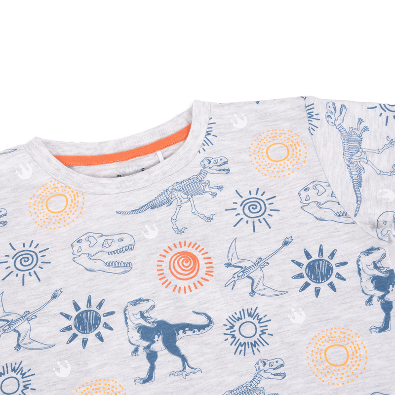Polera-Niño-Gris-claro-Pillin