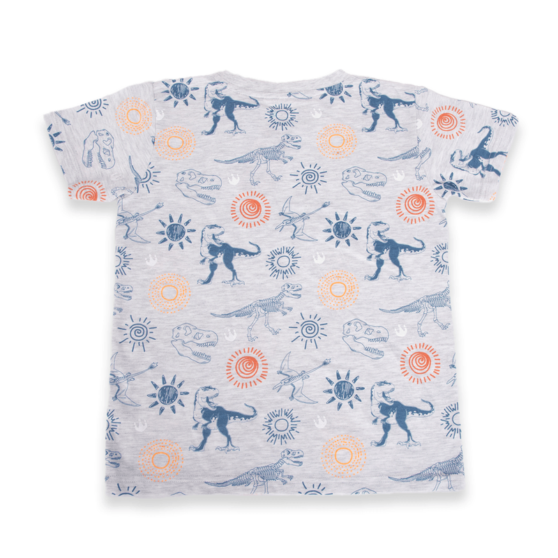 Polera-Niño-Gris-claro-Pillin