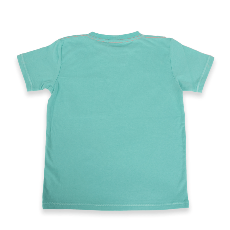 Polera-Niño-Verde-Pillin