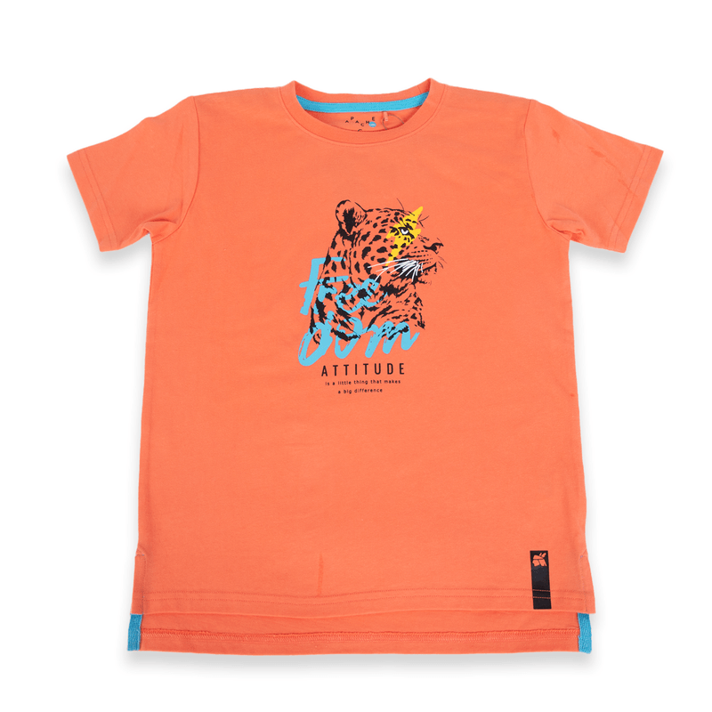 Polera-Niño-Naranja-Pillin