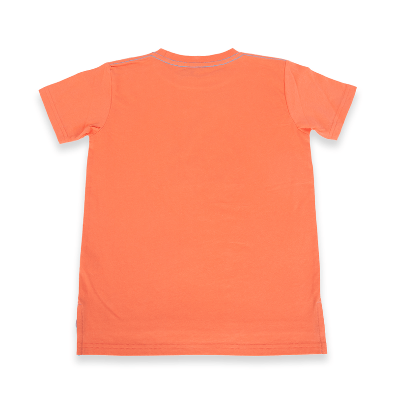 Polera-Niño-Naranja-Pillin