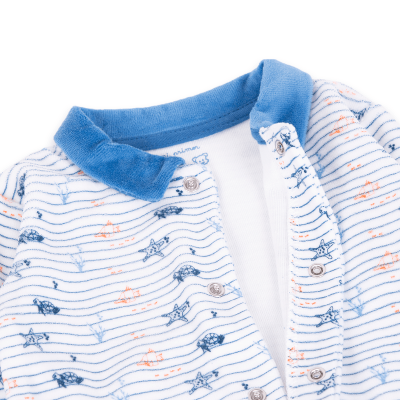 Osito-Bebe-Niño-Azul-petroleo-Pillin