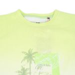 Polera-Niño-Verde-Pillin
