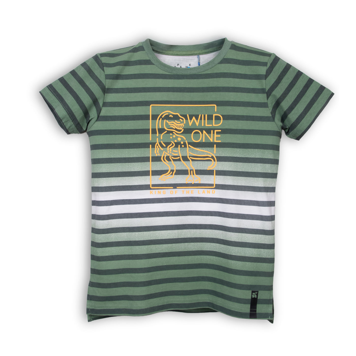 Polera de Niño Verde