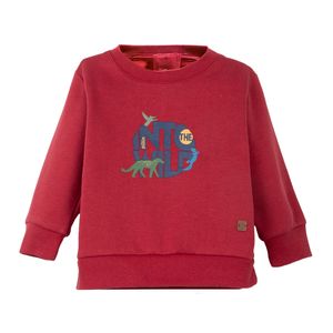 Polerón Bebe Niño Burdeo