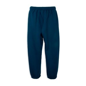 Pantalón Buzo Niño Azul